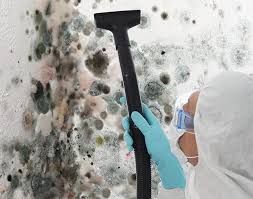 Best Residential Mold Inspection & Testing  in Verona, KY